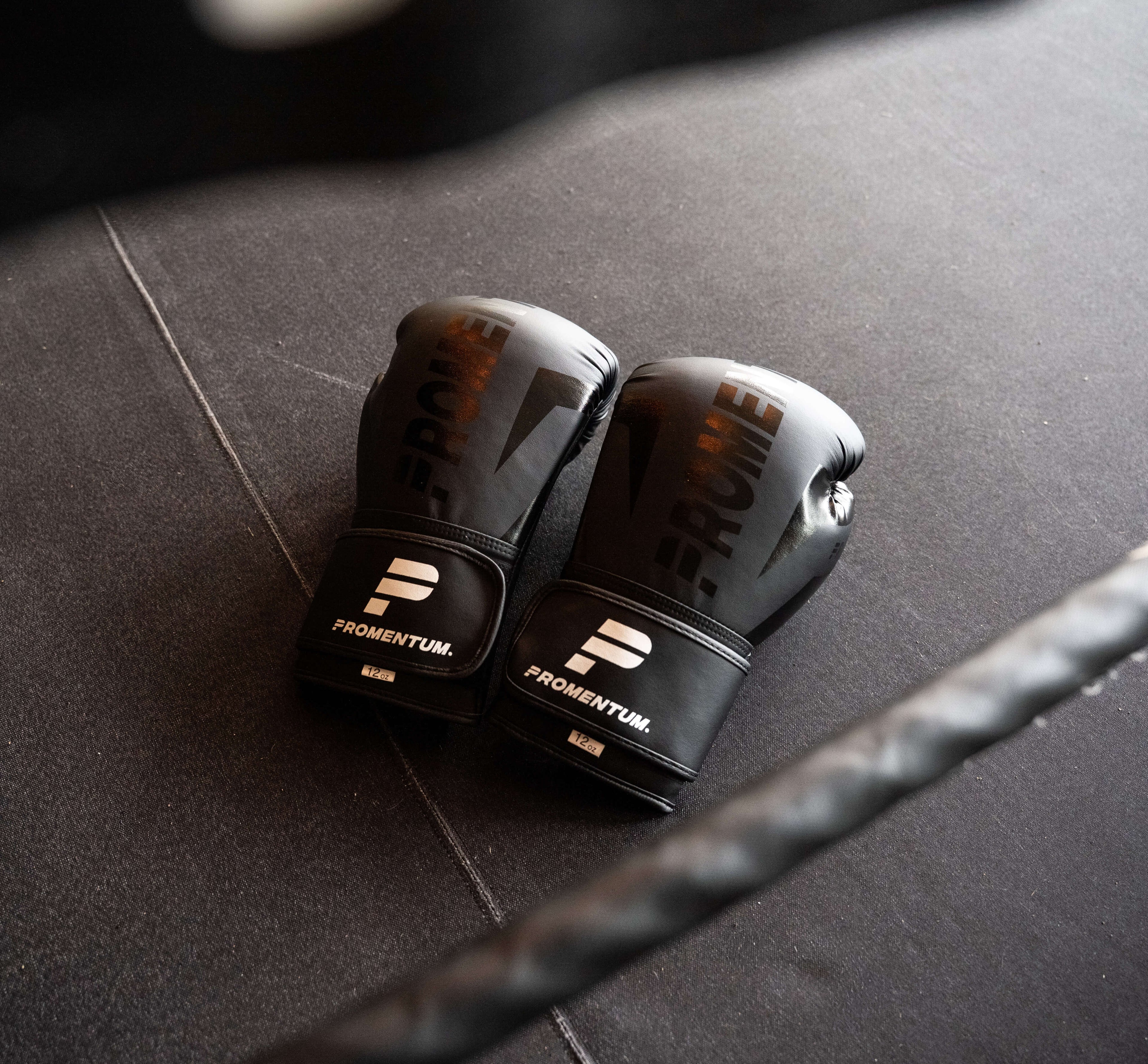 Promentum 12oz Boxing Gloves