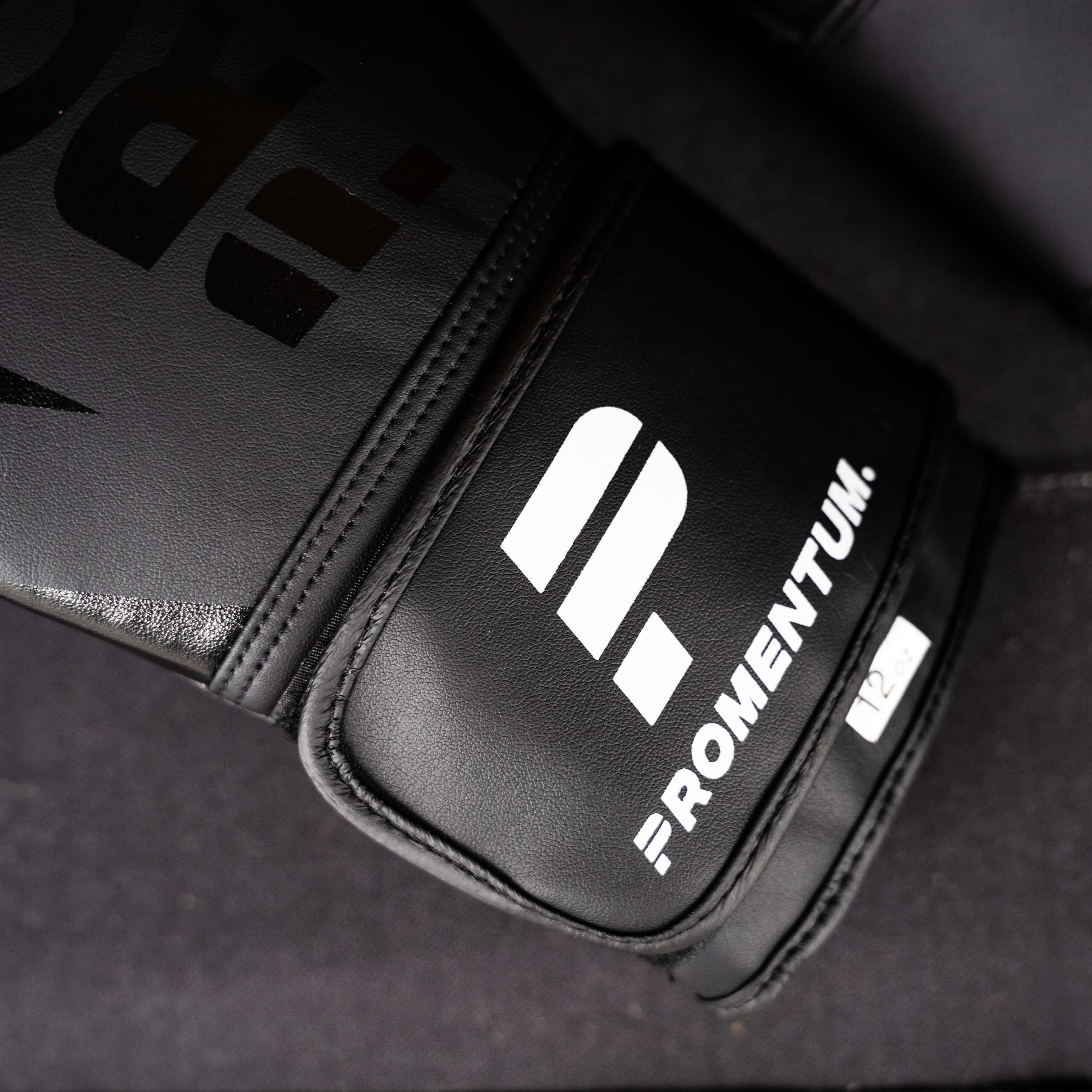 Promentum 12oz Boxing Gloves