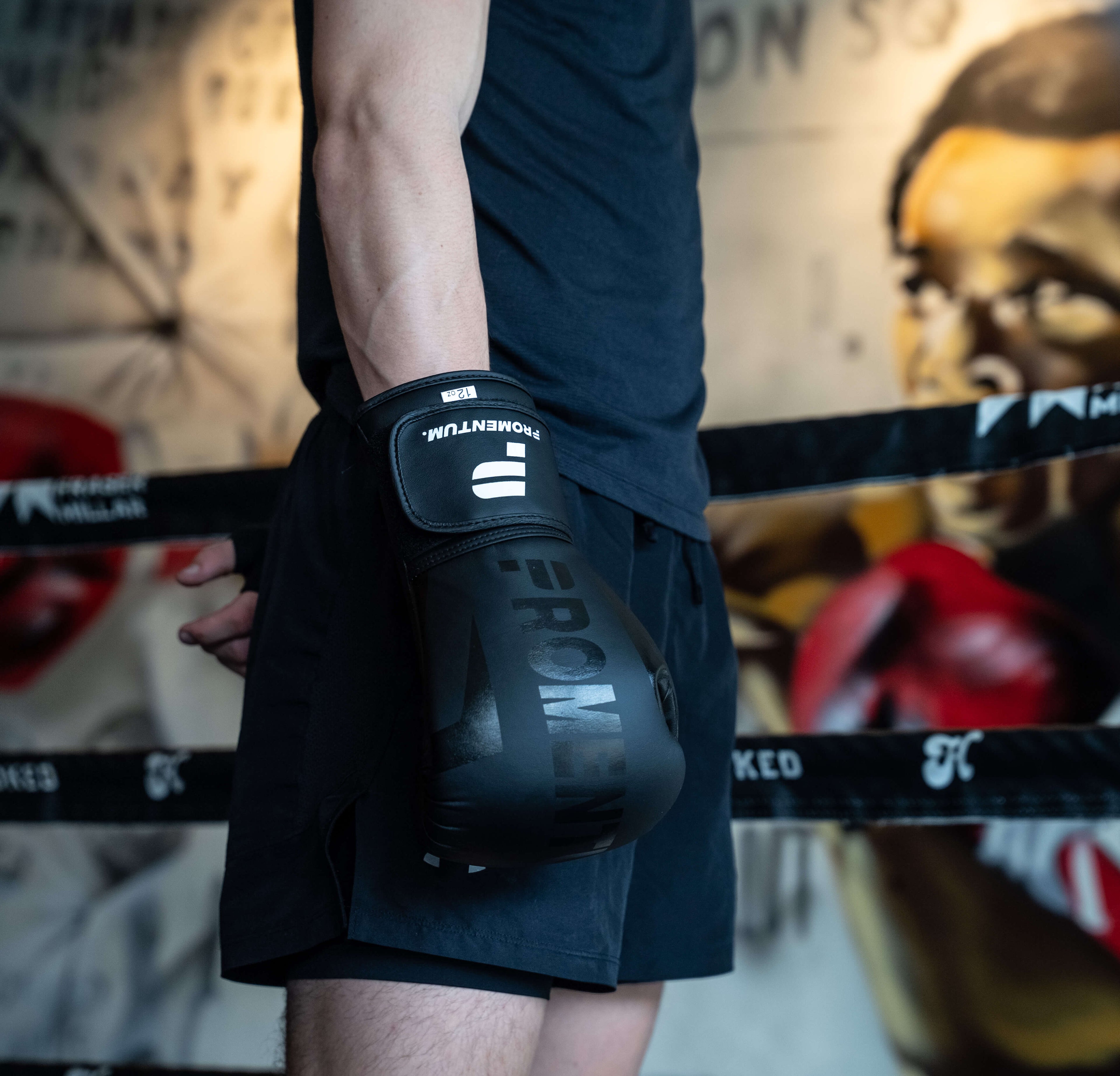 Promentum 12oz Boxing Gloves