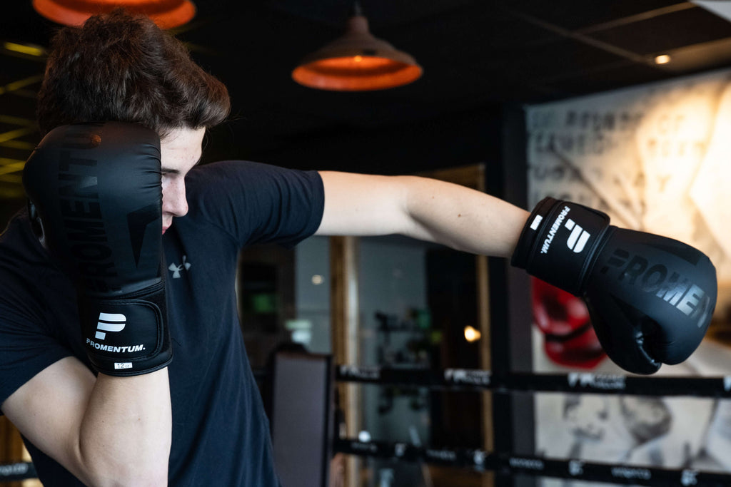 Promentum 12oz Boxing Gloves