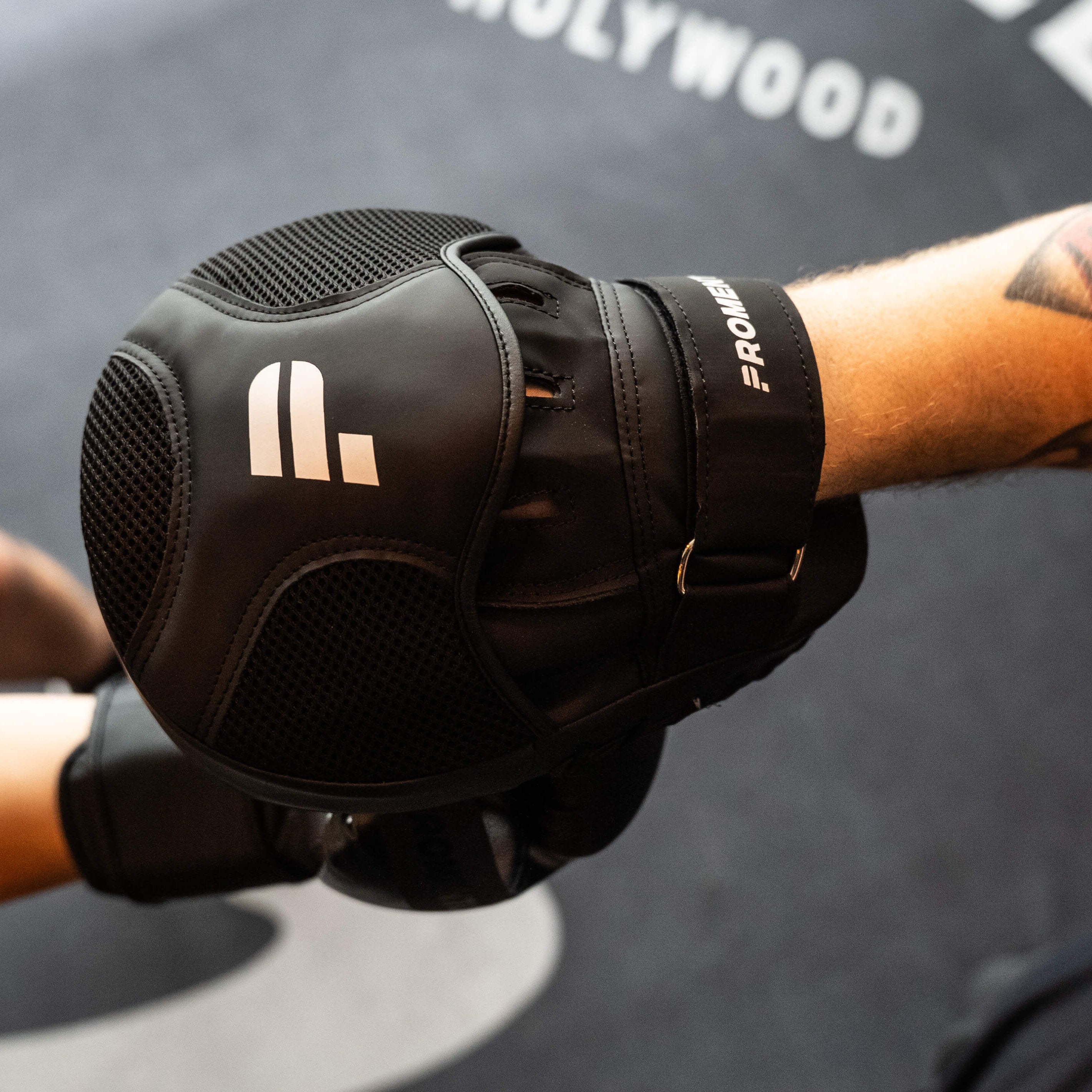 Promentum Boxing Focus Pads