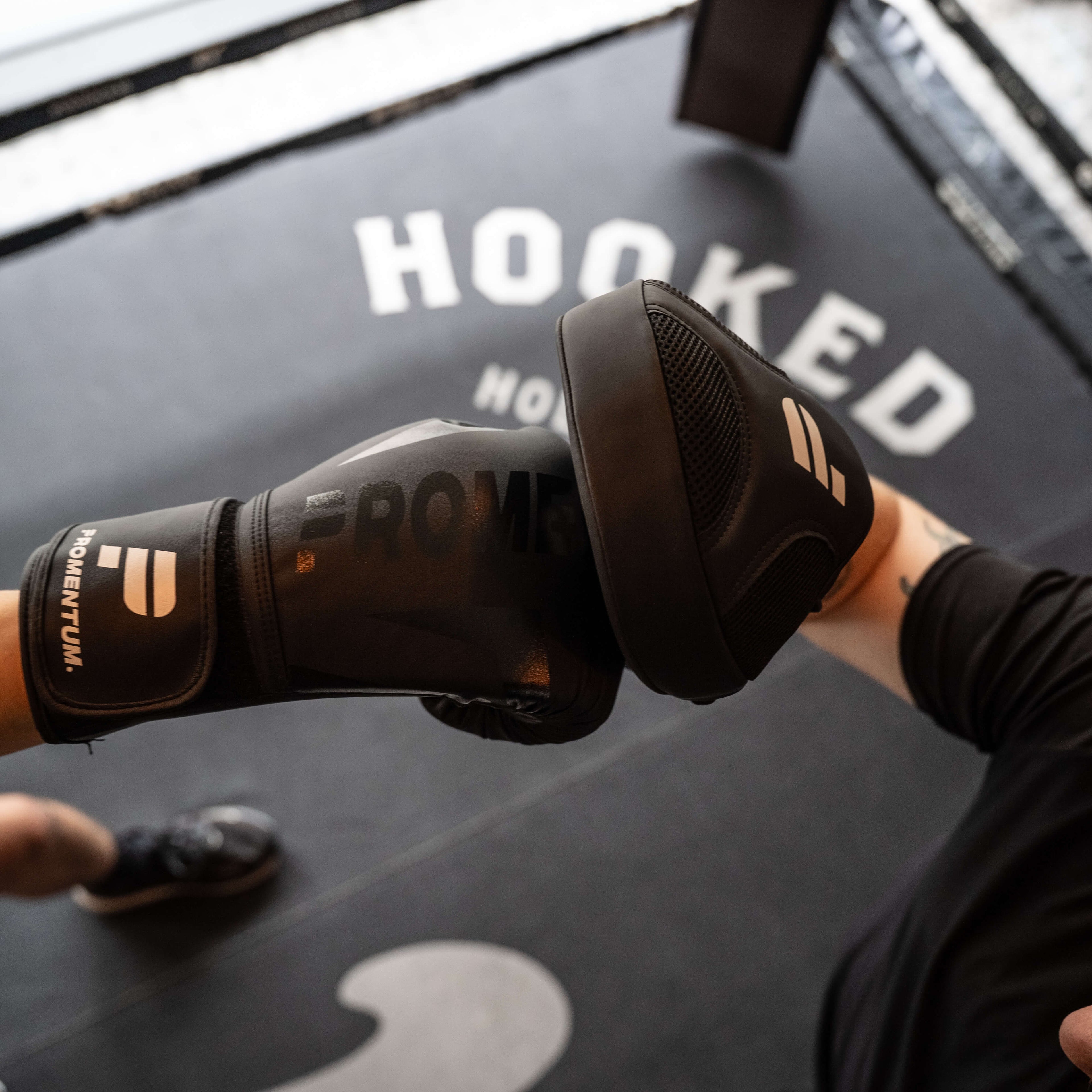 Promentum Boxing Focus Pads