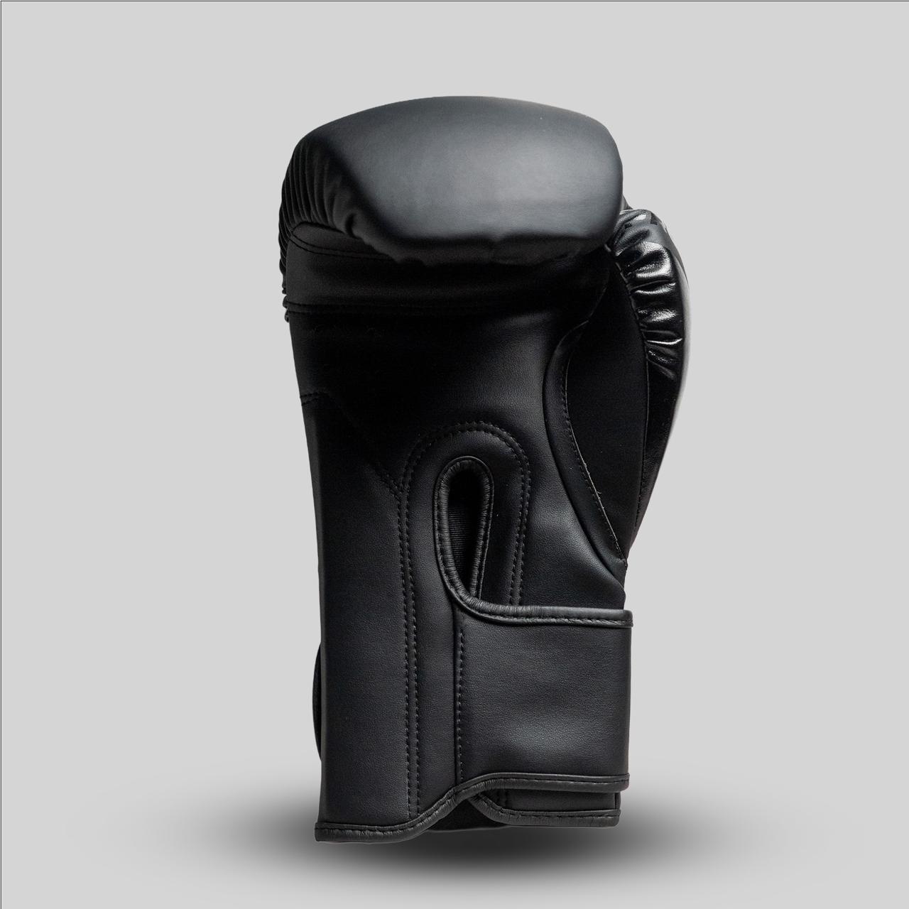 Promentum 12oz Boxing Gloves